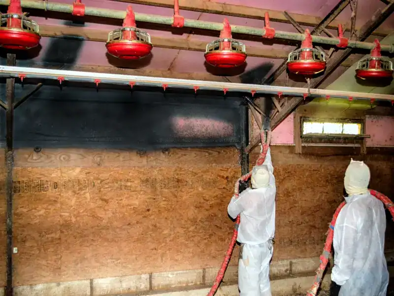 Spray foam insulation applied inside an agricultural building for temperature and moisture control